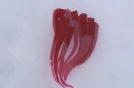 Blood Red