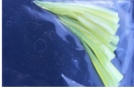 Fluorescent Pearl Chartreuse